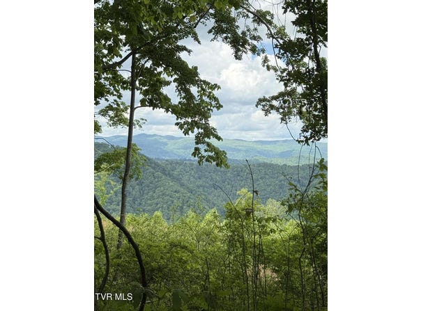 00 Heavens View (118 Acres) Lane, Gate City, VA 24251