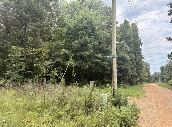 100 Kayleigh Lane, Imboden, AR 72434