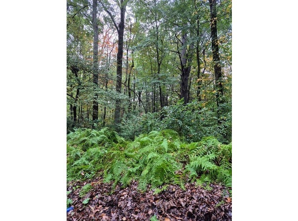 Blackmer Rd, Southbridge, MA 01550