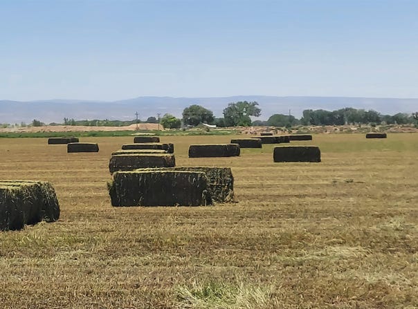 18889 Homestead Road, Delta, CO 81416
