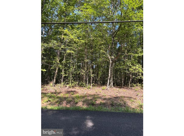 Lot 1 DETOUR RD, GREAT CACAPON, WV 25422