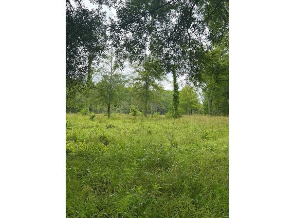 8724 Pettit, Baker, LA 70714