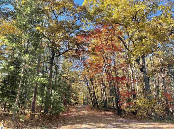 Lot 1 Dockery Road, Williamsburg, MI 49690