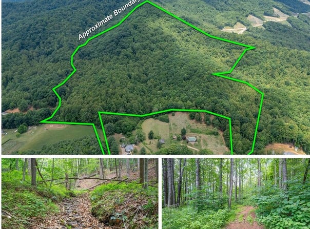 72 Acres Trot Valley Rd, Stuart, VA 24171