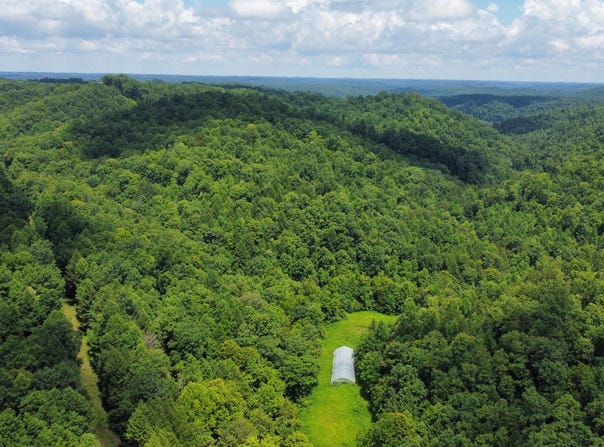 00 Tbd Long Shoal Branch, Beattyville, KY 41311