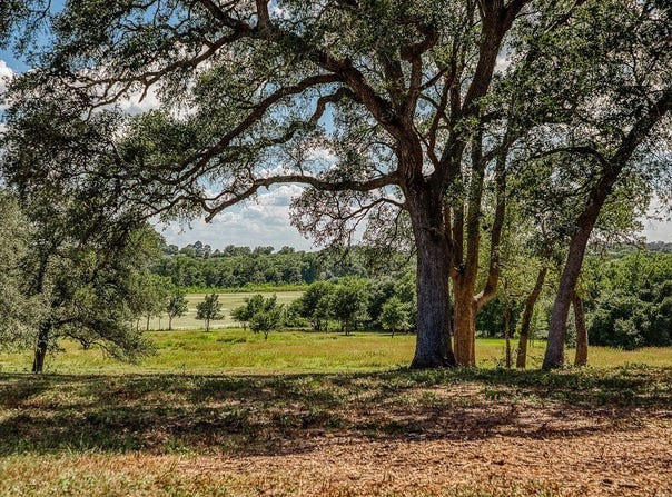 TBD Bauer Road, Fayetteville, TX 78940