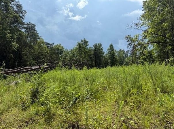 0000 Highway 1569, Wellington, KY 40387
