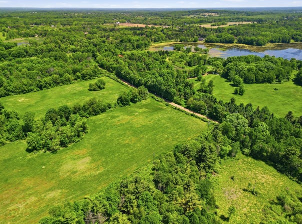 TBD Hagerman Road, Leonard, MI 48367