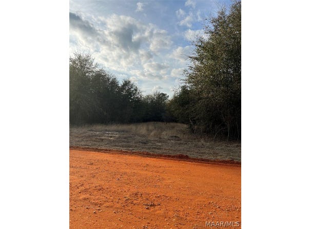 Deer Loop lot: 23, Camden, AL 36726