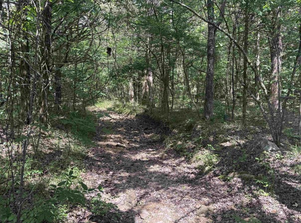 Bell Foley Road, Poughkeepsie, AR 72569