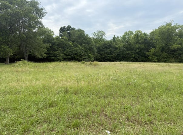 0000 Coleman Avenue, Orangeburg, SC 29115
