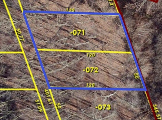 Oak Vacant Lots, Pinckney, MI 48169