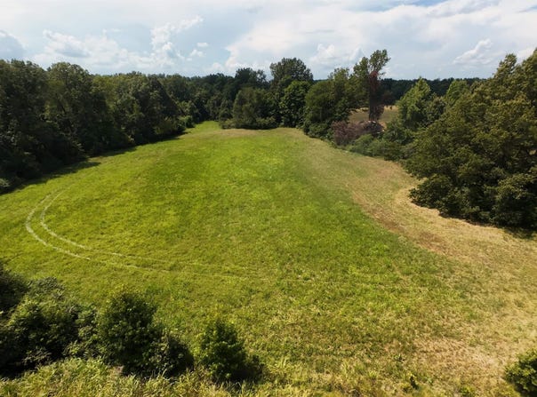 1177 W Pfeiffer Street, Piggott, AR 72454