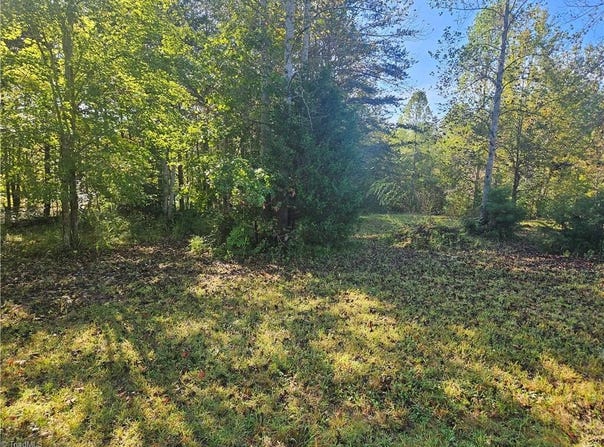Dodgetown Road, Walnut Cove, NC 27052