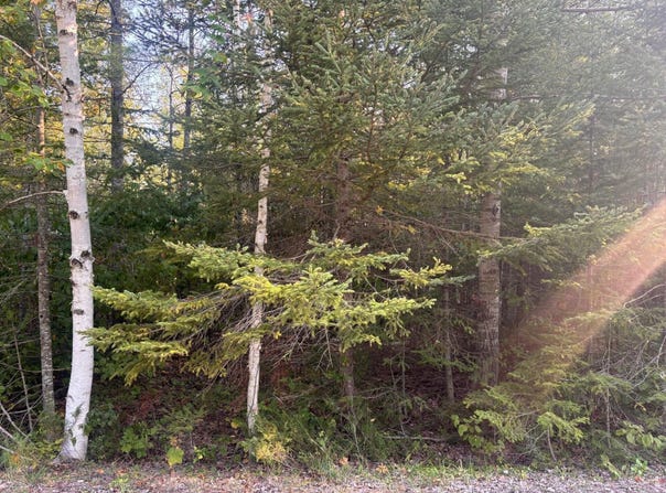 Sunaqua Drive lot: 202, Presque Isle, MI 49777