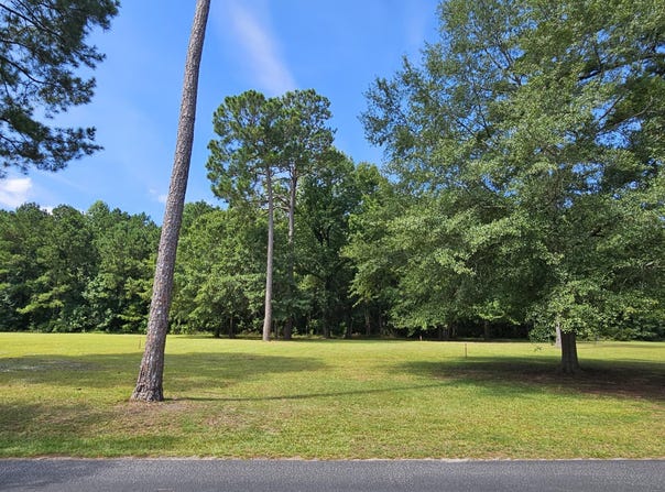 145 Woodlake Drive unit: 46, Manning, SC 29102