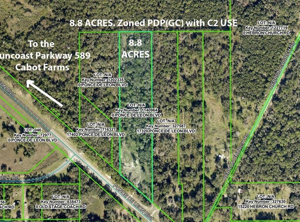 17338 PONCE DE LEON BOULEVARD, BROOKSVILLE, FL 34614