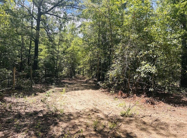 0 Moores Chapel Road, Mauk, GA 31058