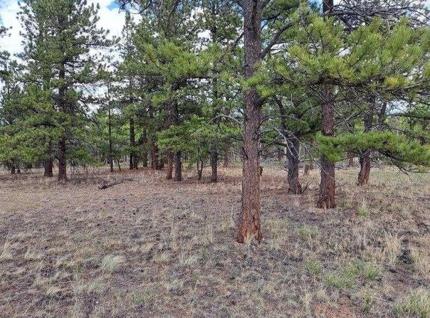 104 CHAP WAY, Hartsel, CO 80449