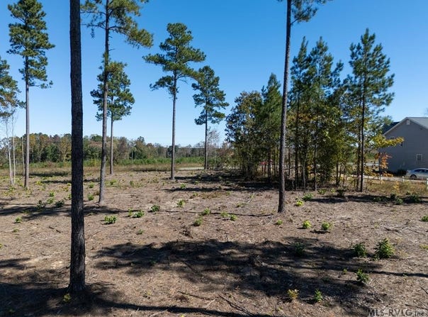 Lot 5 Christanna Highway, Lawrenceville, VA 23868