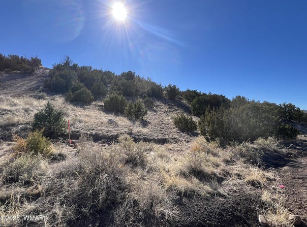 Starlite Drive lot: 14, Eagar, AZ 85925