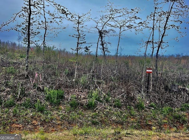 Tract B Co Rd 123, Wedowee, AL 36278