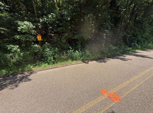 TRACT 3 CHERRY CHAPEL, Savannah, TN 38372