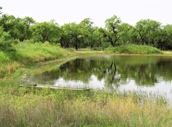 351 County Road 126, Coleman, TX 76834