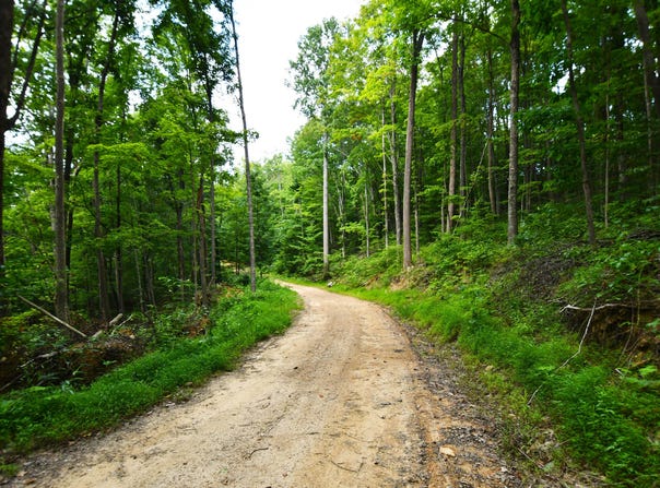 9999 Big Springs School Road, Irvine, KY 40336