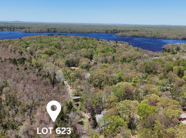 Lot 623 Laurel Road, Pocono Summit, PA 18346