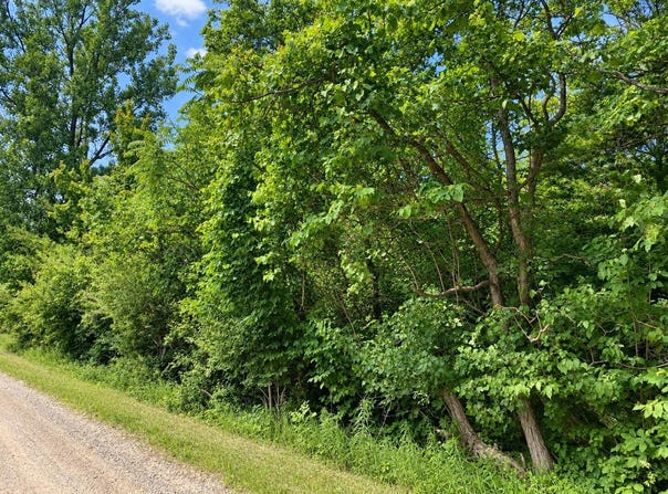 v/l 55th Street, Grand Junction, MI 49056