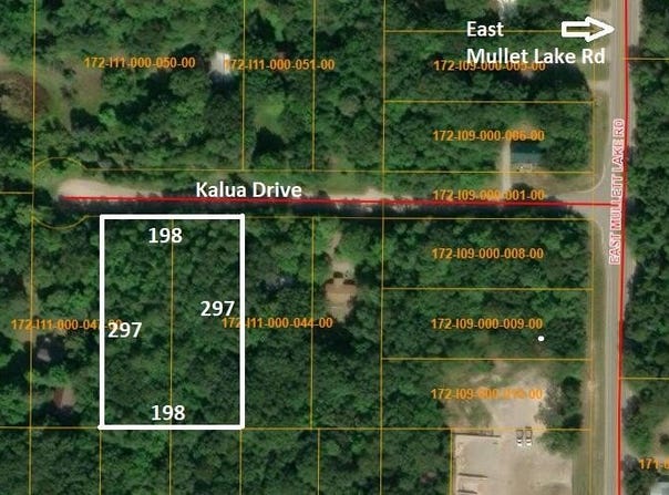 4593& 4613 Kalua Drive, Indian River, MI 49749