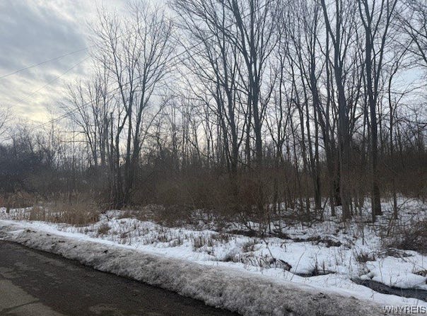 N Gravel Road, Ridgeway, NY 14103