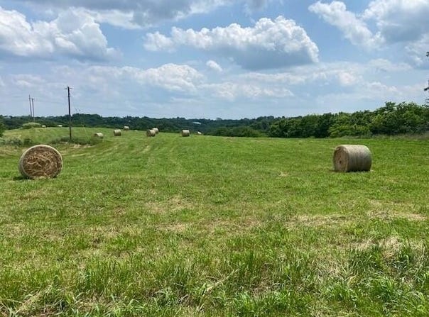 1592 S Bluegrass Road, Brooksville, KY 41004
