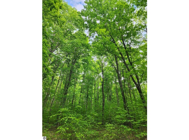 10 Acres VL Wildwood, Mancelona, MI 49659