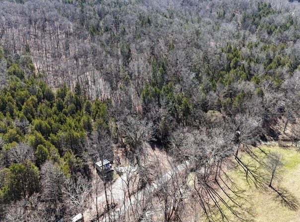 Fork Lick Road, Corinth, KY 41010