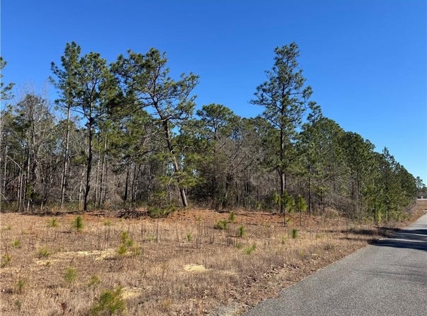 N Morningside Drive, GA 30474