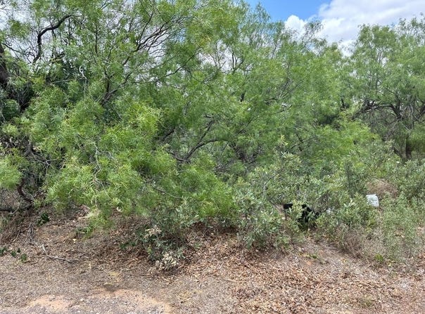 21st St, Colorado City, TX 79512