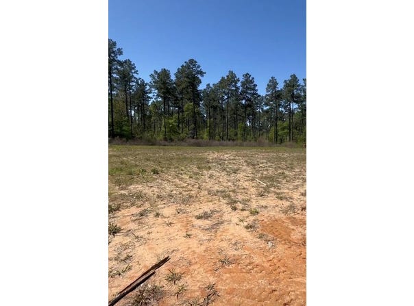 450 Oak Springs, Nacogdoches, TX 75965