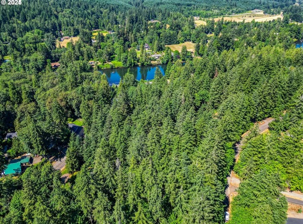 Bridge, Springfield, OR 97478