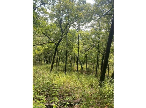 TBD Rural Adair Co., Stilwell, OK 74960