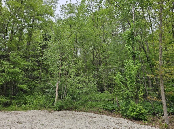 11158 Worley Dam Rd, West Olive, MI 49460