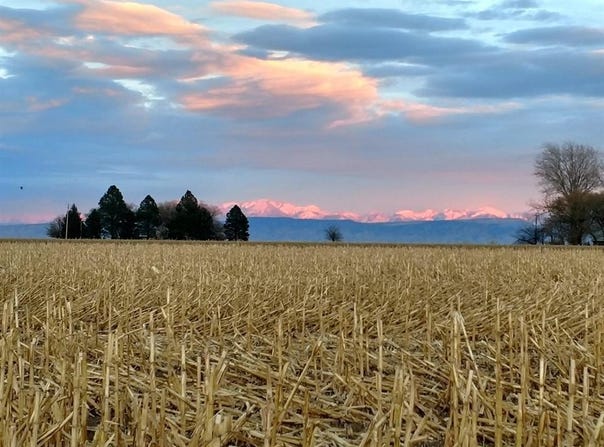 Cedar Road, Delta, CO 81416