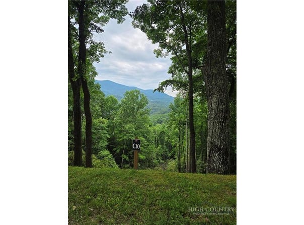 Bear Paw Road lot: C10, Elk Park, NC 28622