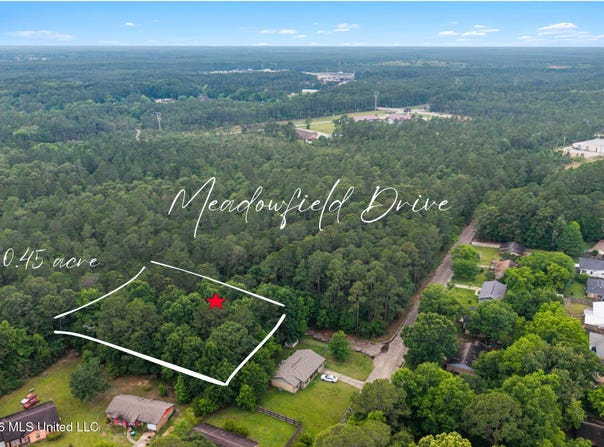 Meadowfield Drive, Gautier, MS 39553