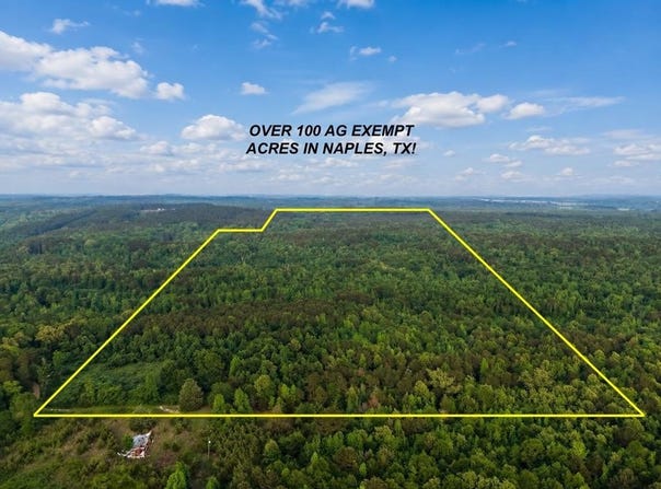 CR 2742, Naples, TX 75568