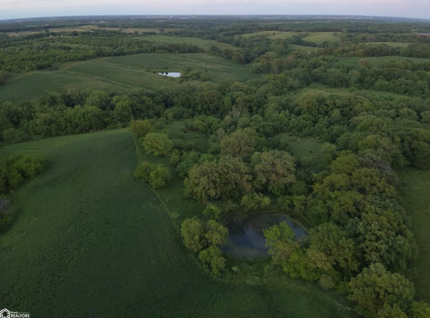 230th Avenue, Exline, IA 52544