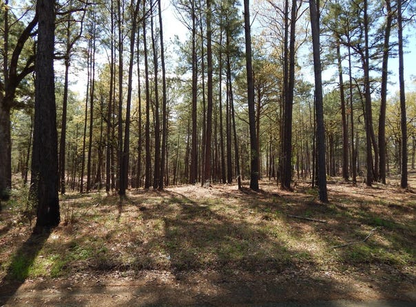 000  Oak Ridge Rd., Many, LA 71449