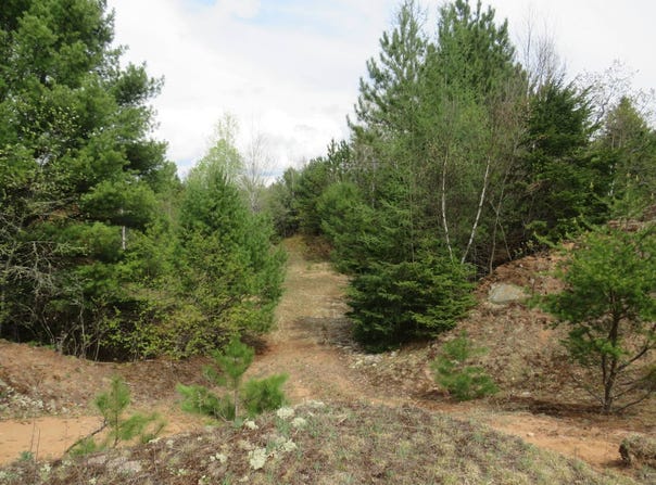 TBD Dunham Road, Marenisco, MI 49947