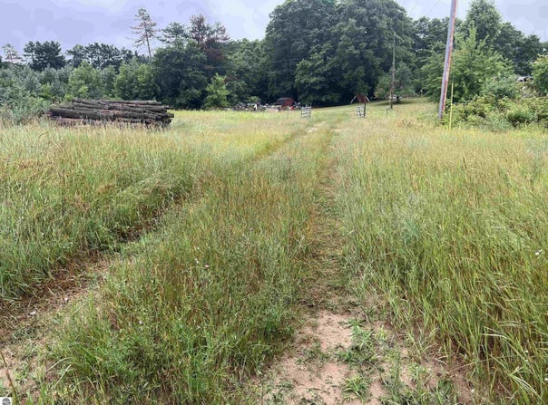 2494 W 18 ROAD, MESICK, MI 49688